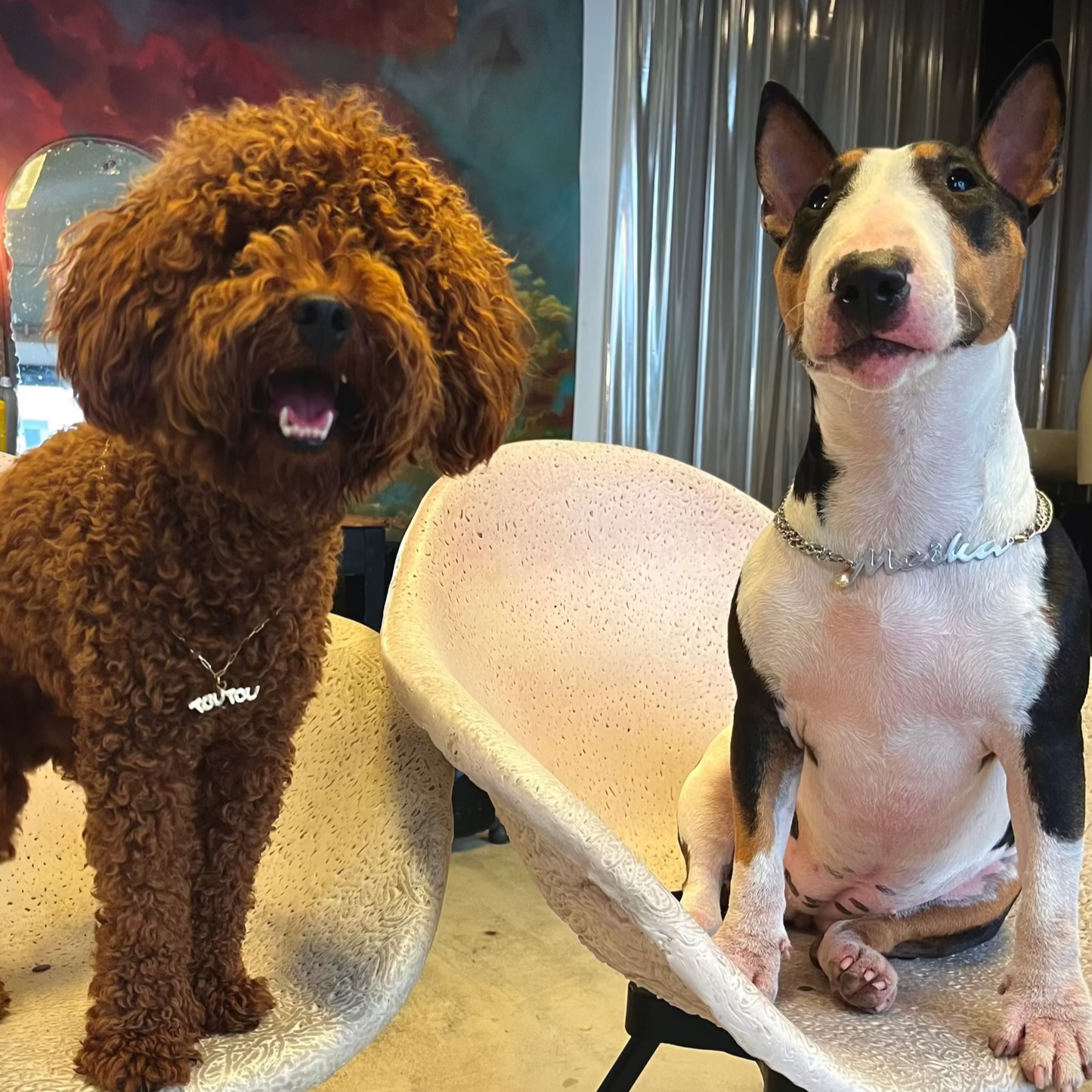 Médailles personnalisées pour chiens